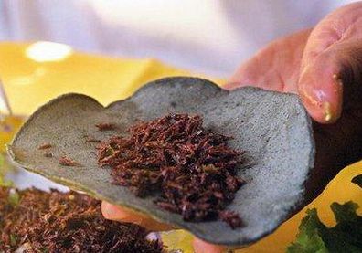 Taco de chapulines P