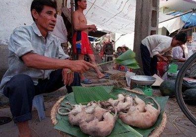 Ratas P