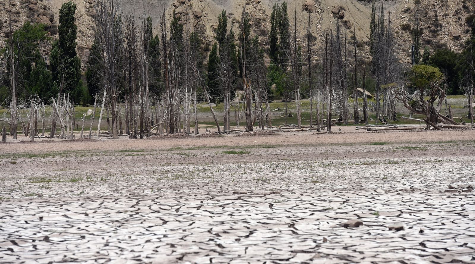 El bosque seco también marca la falta de agua.