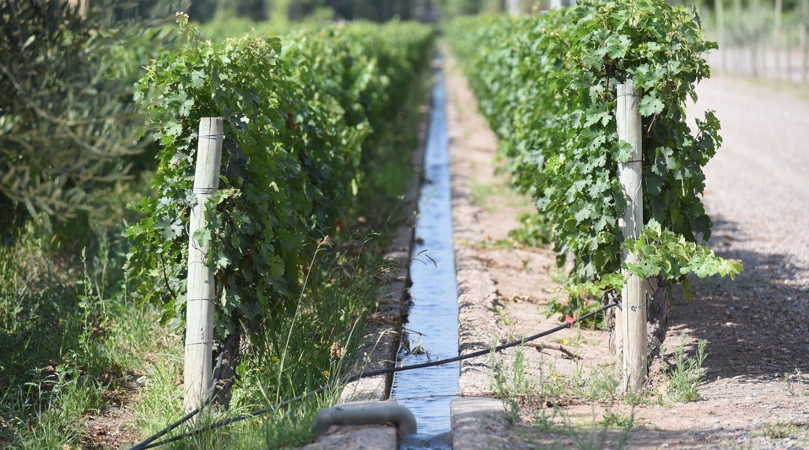 Las hijuelas impermeabilizadas evitan las infiltraciones