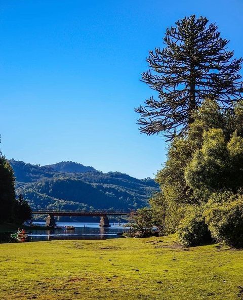 Villa Pehuenia Patagonia playa