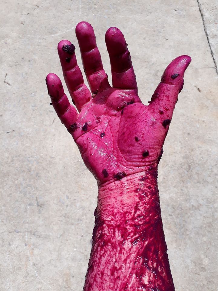 Este es el color que llevarán tus manos durante la vendimia