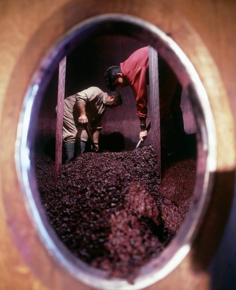 Descubes: vas a llegar a soñar con ellos