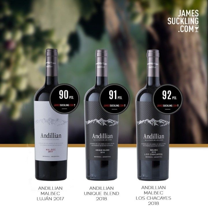 El Malbec Orgánico 2018 Los Chacayes obtuvo 92pts por parte de James Suckling en su último reporte