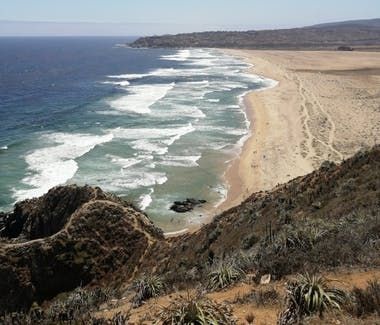 Túnquen playa chile