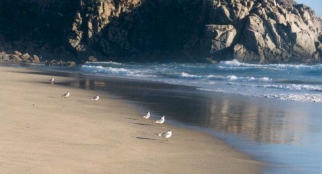 Tunquén playa chile