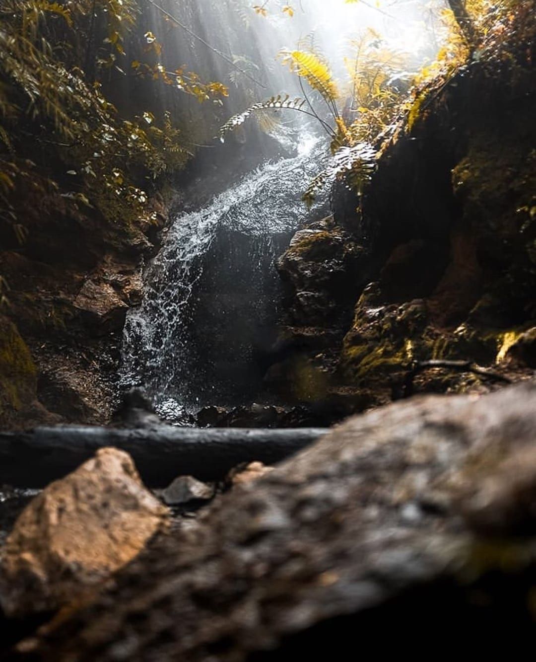 pataognia verano termas de Queñi