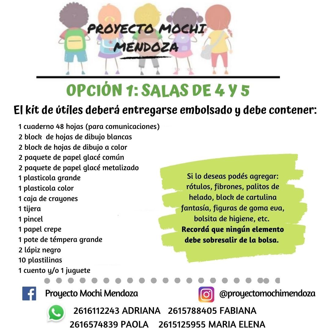 Proyecto Mochi