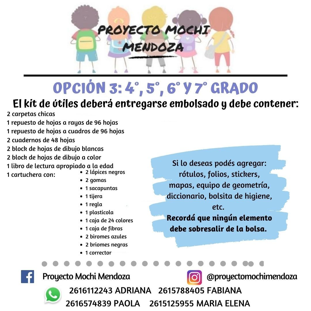 Proyecto Mochi