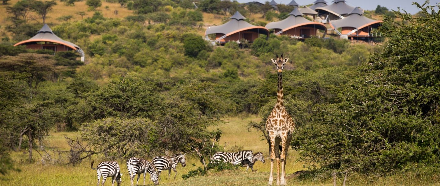 glamping Kenia