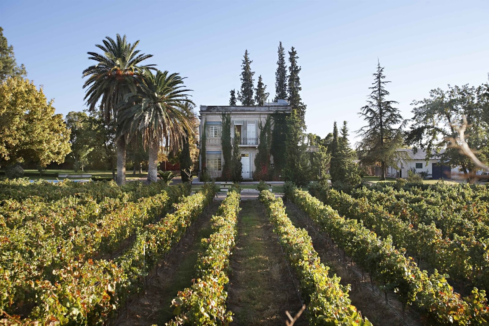 Finca El Paraíso