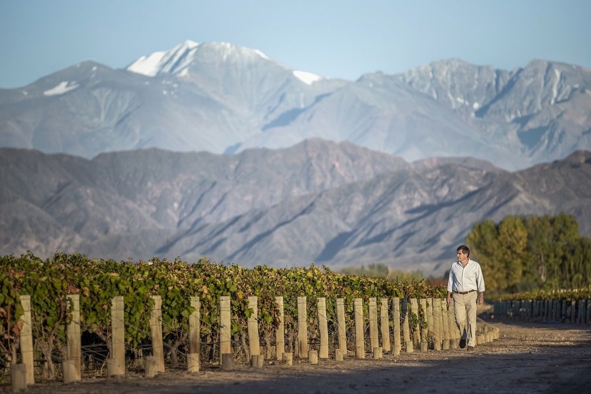 Un terroir único para el Cabernet Sauvignon