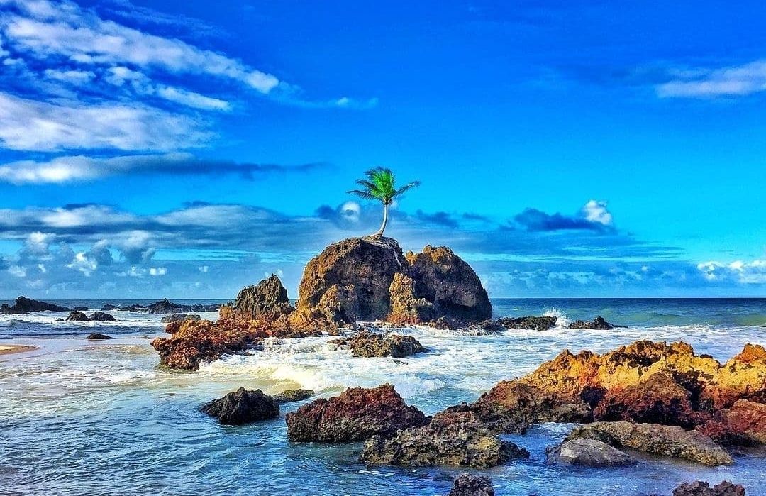 playa Brasil Tambaba