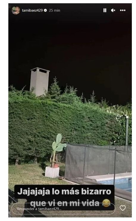 Historias de Tamara Báez.