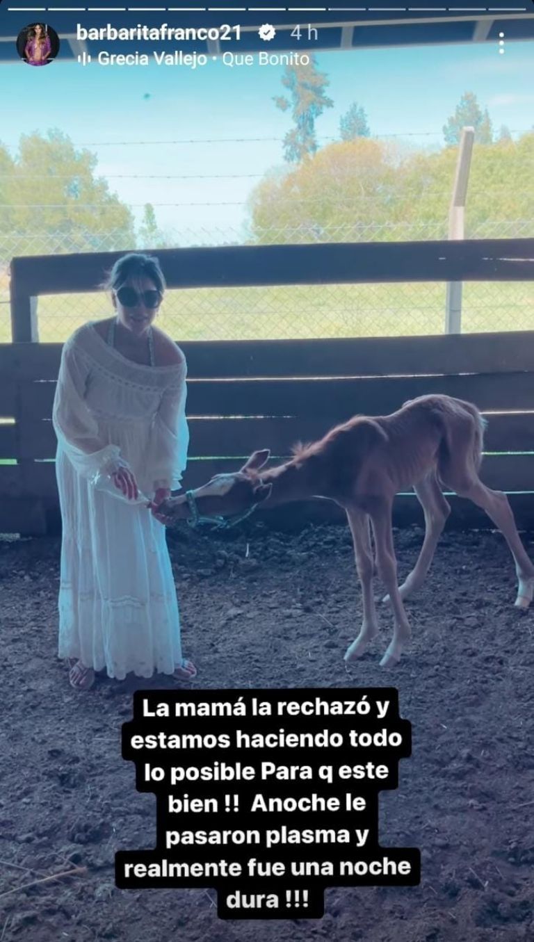 La potranca de Barby Franco y Fernando Burlando.