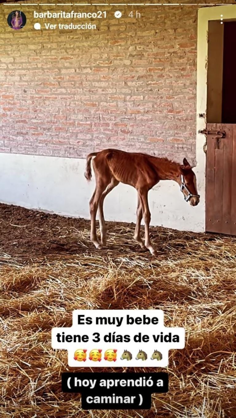 La potranca de Barby Franco y Fernando Burlando.
