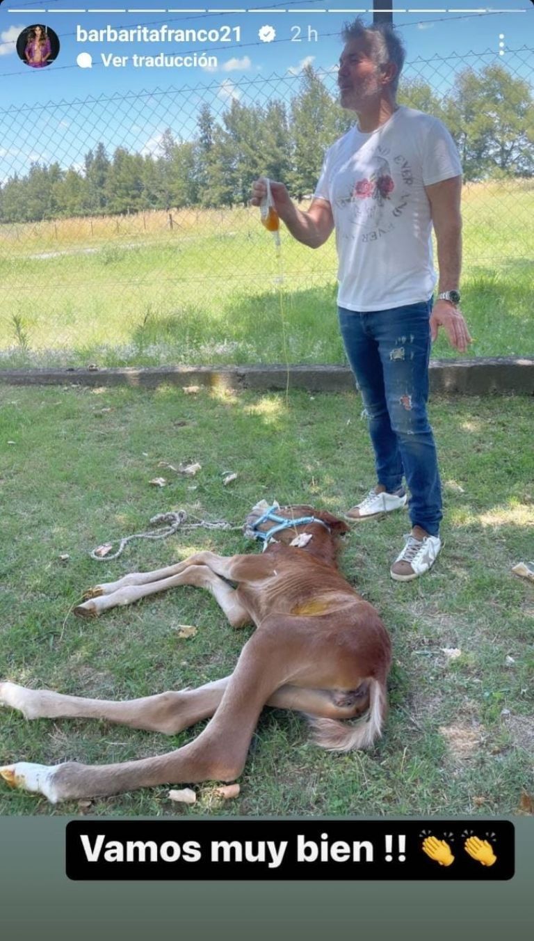 La potranca de Barby Franco y Fernando Burlando.