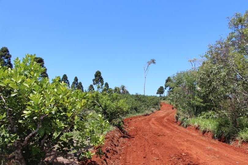 ruta de la yerba mate