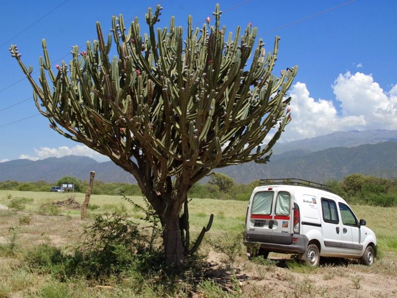 motorhome vacaciones