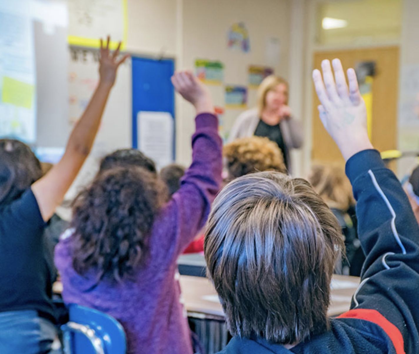 docentes Estados Unidos