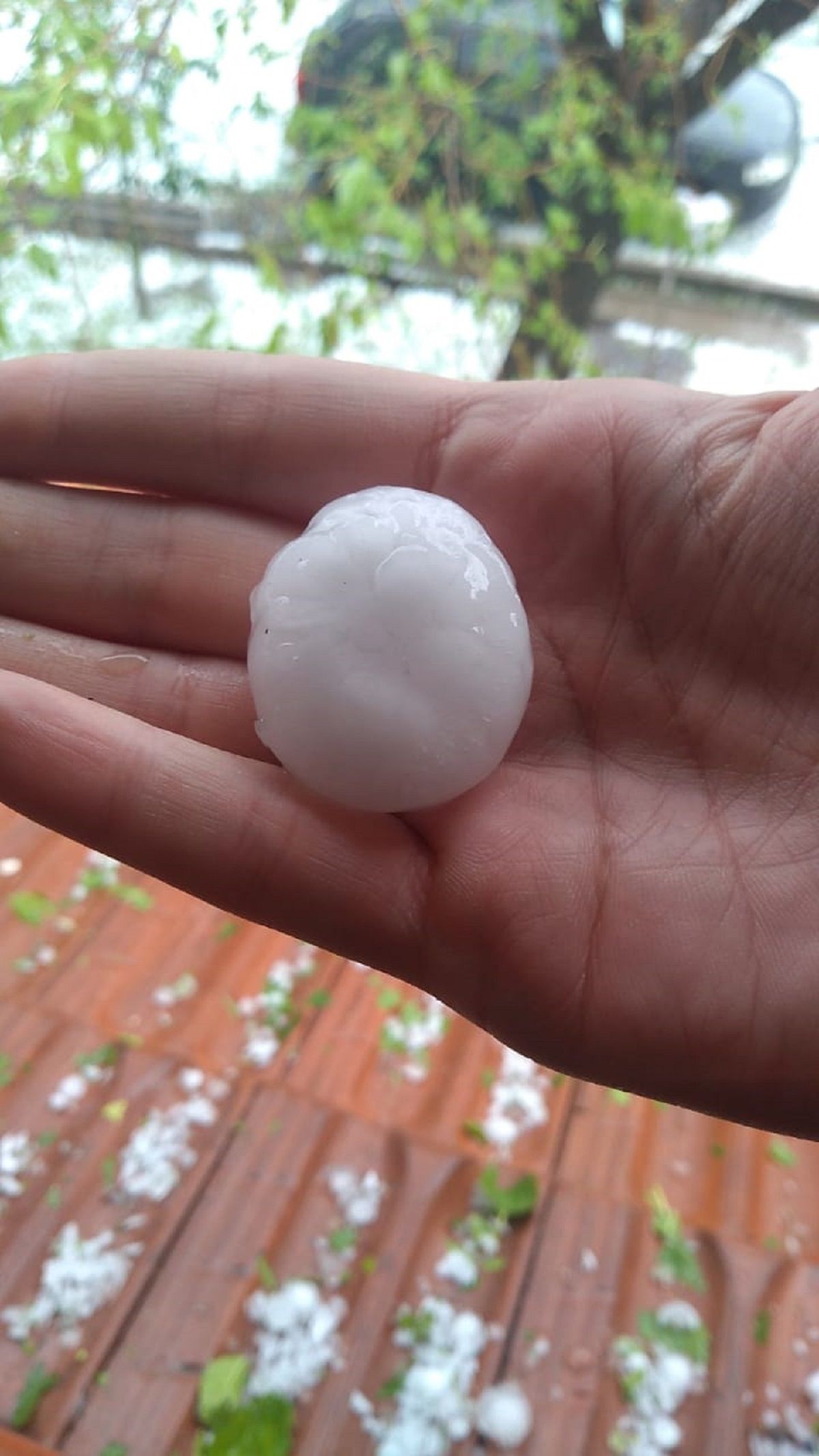 La piedra que cayó en Guaymallén destrozó todo a su paso