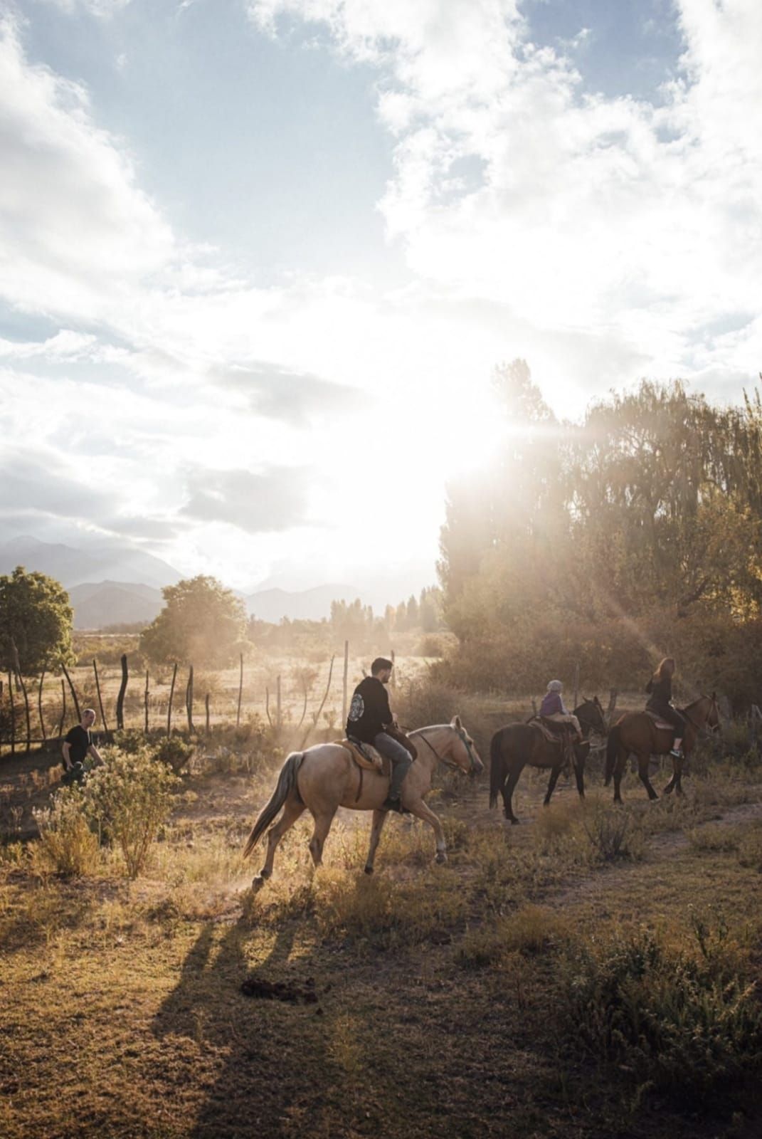 Marti garrix Mendoza
