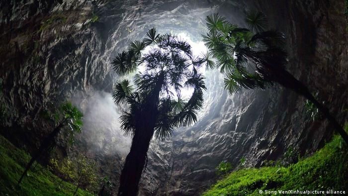 China bosque