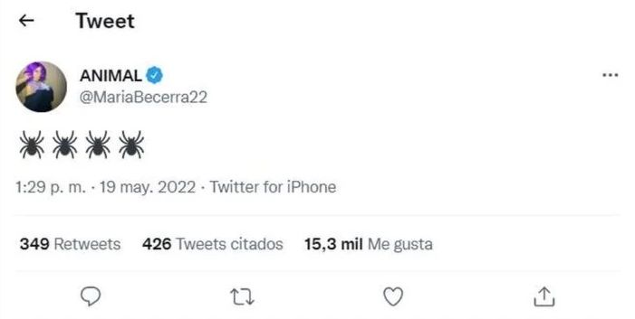 EL TUIT DE MARIA BECERRA POR JULIAN ALVAREZ.