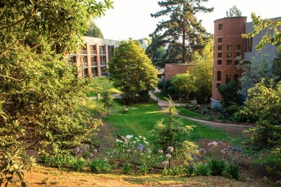 Hotel El Bosque de Reñaca