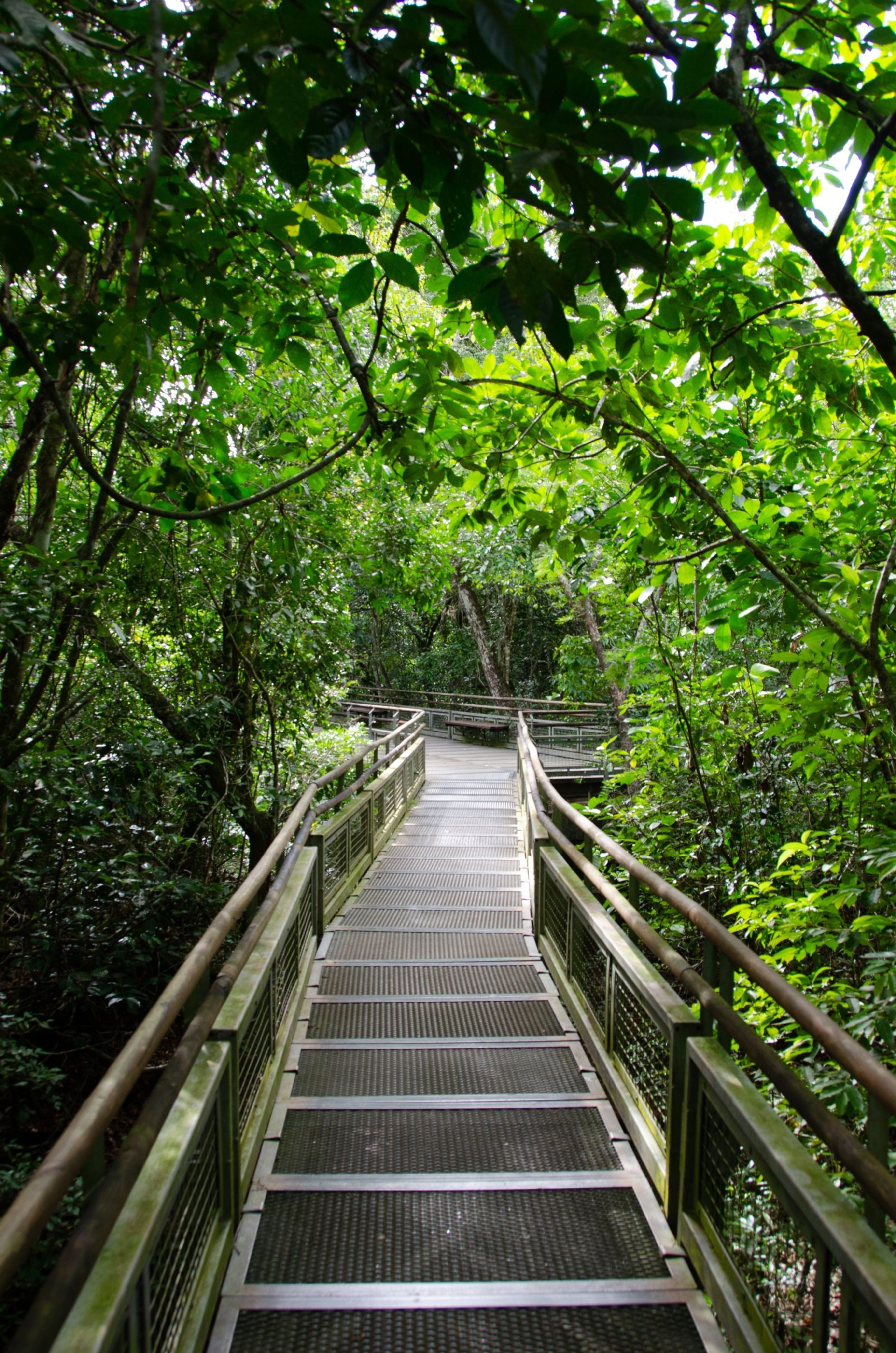 Puerto Iguazú Selva Aryapú