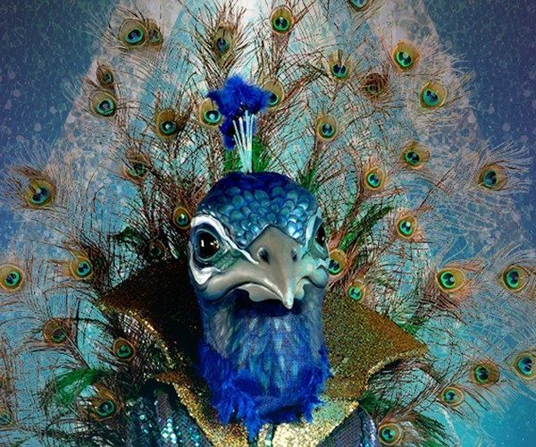 Salvador, el pavo real.