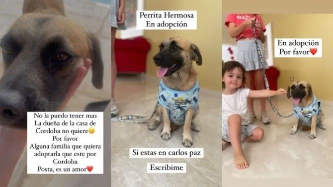 Paula Chaves tiene problemas con la dueña. (Foto: Instagram).