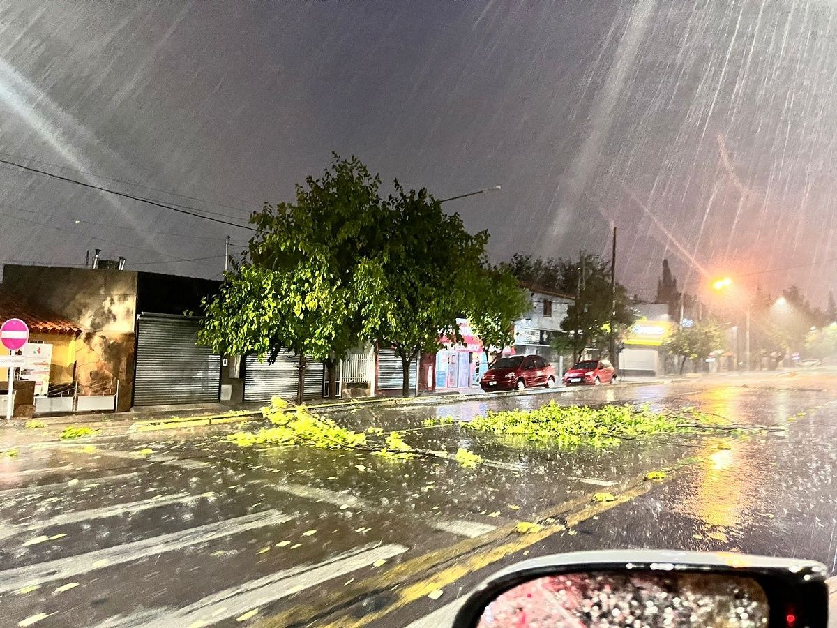 Lo que dejó la tormenta en Godoy Cruz