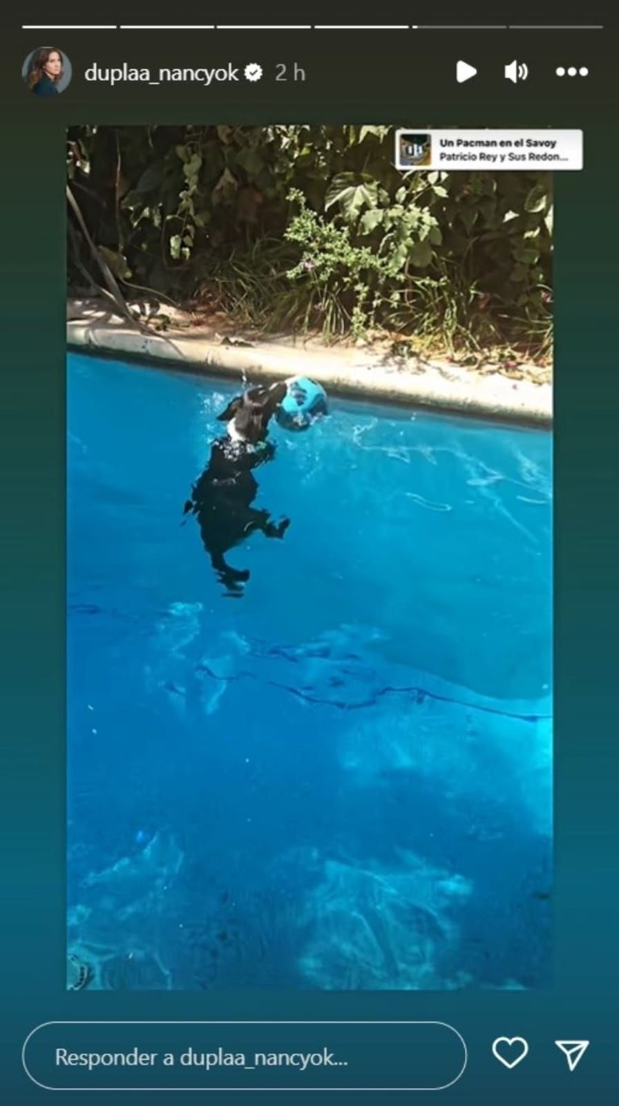 La pileta de Echarri y Dupláa en su mansión de Colegiales