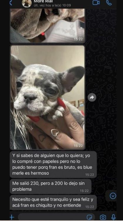 Morena Rial vendiendo a su perro.