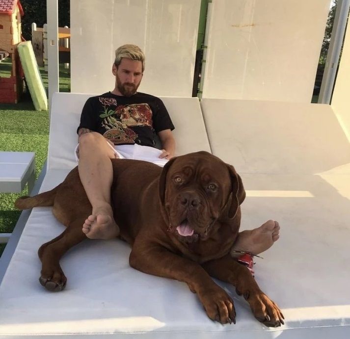 Lionel Messi y Hulk.