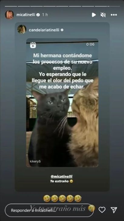 Meme hijas de Tinelli. 