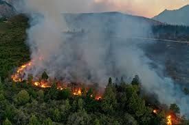 Incendios en el Boldón.
