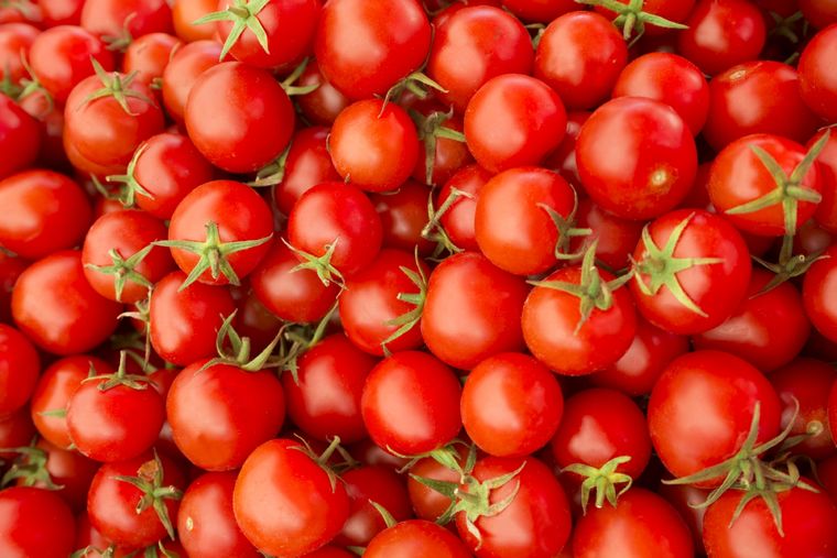 Piden asistencia para garantizar la producción de tomates Foto: Shutterstock