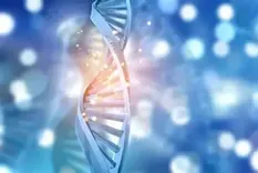 La Navidad debe llevarnos a ser custodios de la vida en todas las circunstancias evitando la cultura de la eugenesia.&nbsp;