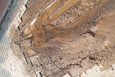 MDZol | Foto: Gentileza lector MDZ