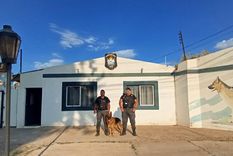 El perro Randall fue protagonista del procedimiento tras el robo en una peluquería. El perro Randall fue protagonista del procedimiento tras el robo en una peluquería.