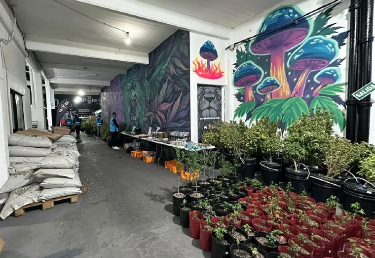 La droga se realizaba en una distribuidora de Boedo y se vendía a través de las redes sociales Foto: NA