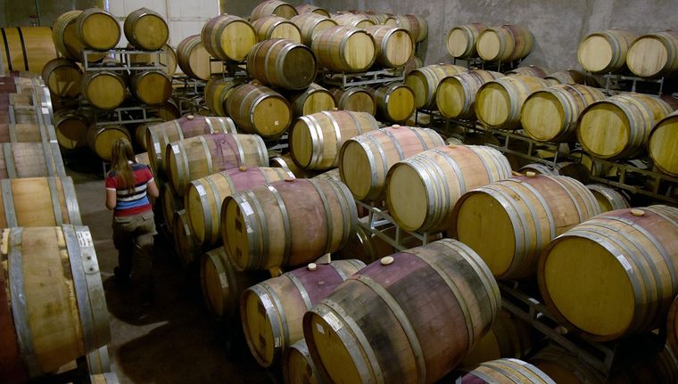Las exportaciones mostraron un repunte en el primer trimestre del 2026 para el vino argentino.&nbsp;