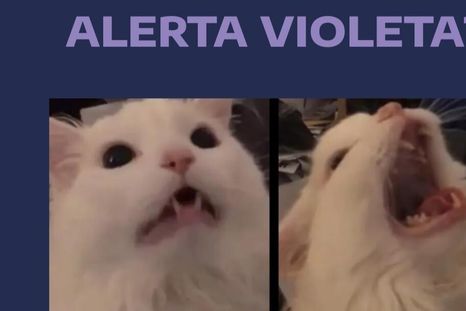 Ante la confusión entre alerta y advertencia, el SMN aclaró la diferencia con memes. Ante la confusión entre alerta y advertencia, el SMN aclaró la diferencia con memes.