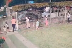 La nena sufrió hundimiento de cráneo y sus tios denuncian que la oficial manejaba el patrullero mientras usaba el celular. La nena sufrió hundimiento de cráneo y sus tios denuncian que la oficial manejaba el patrullero mientras usaba el celular.