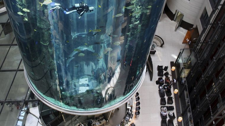 El acuario, antes del estallido. Foto: Instagram @tnn
