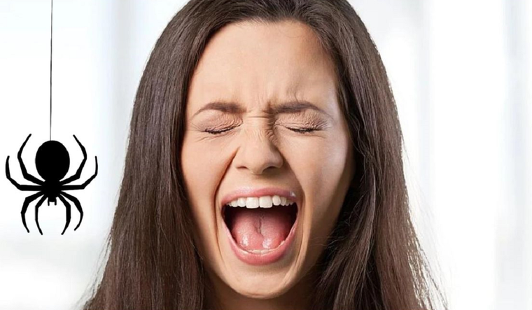 Arañas en tus sueños: Un vistazo a su significado e interpretación Imagen ilustrativa de una persona con una araña. Foto: MDZ ONLINE