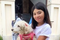 Una perrita caniche se perdió en el sur de la ciudad de Córdoba y caminó por toda la ciudad hasta llegar al colegio al que asiste su dueña. Foto: Gentileza