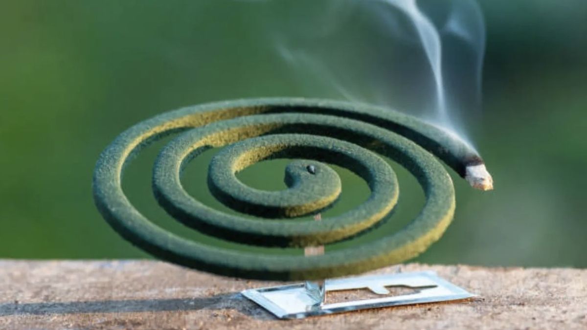 Anmat prohibió espirales, insecticidas y productos de limpieza: los motivos